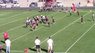 Talon MLB blitz sack