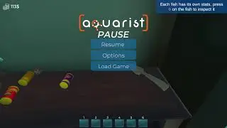 Join us while we are taking care  of fish and working on watch  hours