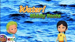 Water Water Everywhere | Fun facts with Benny and Lulu