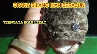 Masak Ikan kERAPU Barongsai||Katanya Beracun||Ternyata Nikmat Dan Lezat.