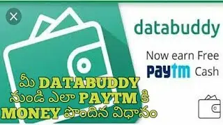Databuddy redeem payment in Paytm money in Telugu