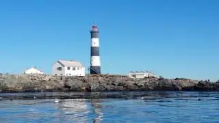 Sealions around the lighthouse of the Race Rocks, Canada