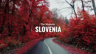 Slovenia 4K - Cinematic Relaxation films | Calming Music & Stunning Nature