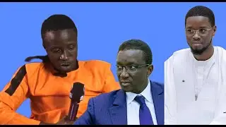 le_fr&egrave;re_de_Adji_Sar_Abdou_Nguer___Diagne_Solution_Pastef