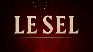 🔥 LE SEL &ndash; Quand la v&eacute;rit&eacute; br&ucirc;le | Clip officiel 2025 (K-Soul & S&egrave;ve Noire)