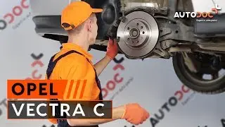 How to change rear brake discs on OPEL VECTRA C TUTORIAL | AUTODOC