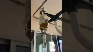 Glass bottle Human albumin infusion