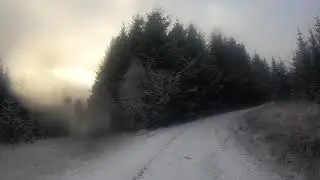 Snowy walk through Kielder Forest