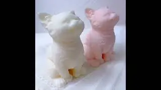 Cute Cat Candle Mold Animal for Soap making