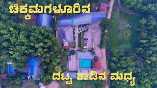 ಚಿಕ್ಕಮಗಳೂರಿನ ದಟ್ಟ ಕಾಡಿನ ಮಧ್ಯ | Somewhere Inside the Chikkamagaluru jungle