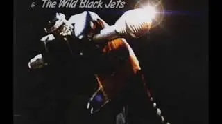 BBC Alvin Stardust (talking about the Wild Black jets)