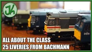 All About The Class 25 Liveries from Bachmann