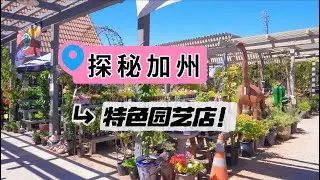 美国加州综合园艺店 开业70余年exploring a garden center in Solvang, California