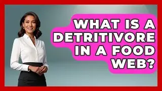 What Is A Detritivore In A Food Web? - Explaining Ecology