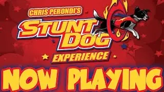 Stunt Dog Experience Promo Video (w/voice over) 1m40s