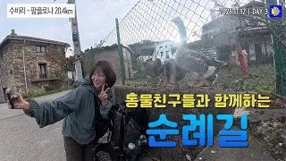 DAY3 산티아고 숙소는 얼마일까? | 순례길에서 하루에 쓰는 비용은? Daily cost on the Camino de Santiago