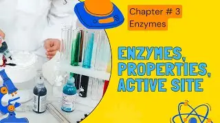 Enzymes, properties, active site | Education for all