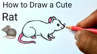 How to Draw a Cute Rat 🐀 Easy Step by step