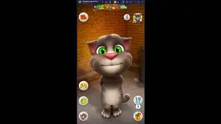 TALKING WITH TOM FUNNY CAT REACTION LIVE STREAM