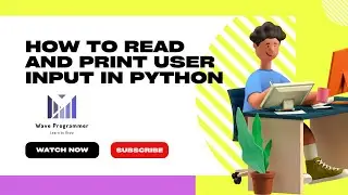 How to Read and Print User Input in Python | @waveprogrammer