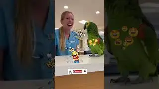 Parrot Drops Hilarious Pick-up Lines on Nurse! (Cheesy Flirts Gone Wild🦜🧑&zwj;⚕️🤪) #funny #birds #memes