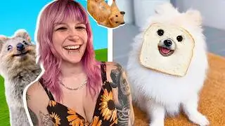 Former Zookeeper Reacts To CUTE Animals Clips! - QueenOfVikings
