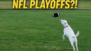 Плей-офф НФЛ?! 🏈 Дог отыграл 6 розыгрышей в рамках плей-офф + невероятный финальный приём
