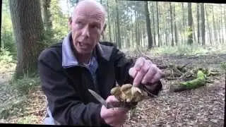 Wandelen met Henk Eikholt, herfst,  lange versie