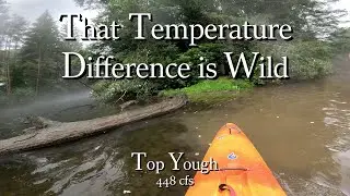 That Temperature Difference is Wild, Top Yough, 448 cfs, 2025-07-19