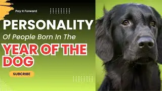 Personality Of People Born In the Year Of The Dog