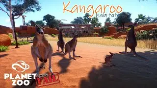 Redrock Zoo | Planet Zoo | Kangaroo Habitat | Speed Build | ep.5