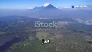 Discover Guatemala's Unique Wildlife!