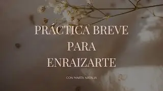 Práctica breve para enraizarte 🌱