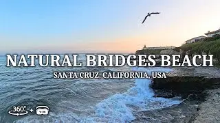 Explore a 360&deg; immersive VR experience of Natural Bridges Beach in Santa Cruz, California, USA!
