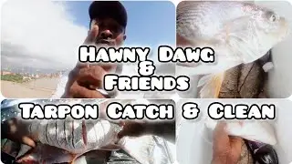 Epic Fishing Day With Friends in Jamaica | Tarpon Catch and Clean  #TarponFishing #CatchAndClean