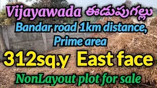 312sq.y East face Nonlayout plot for sale in Vijayawada//in Edupugallu Bandar road 1km distance