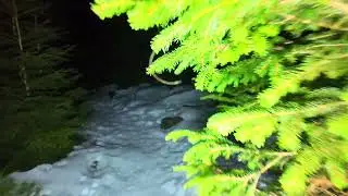 Oderteich Rundgang bei Nacht. ASMR Schnee Schritte)