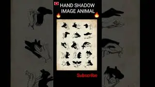 How to use Hand shadow wall 🔥 || #shadow #ytshorts #shorts