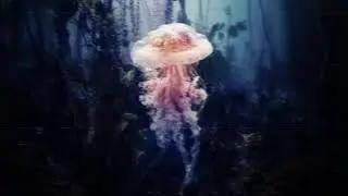 &ldquo;UNDERWATER | Deep Ambient Music for Focus & Flow | Futuristic Chill Soundscape 🌊🧠#musica #trending