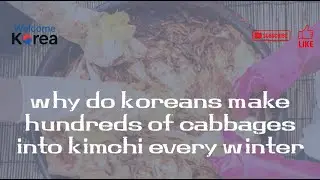 Why Do Koreans Make Hundreds of Cabbages into Kimchi Every Winter #Kimjang #KoreanCulture