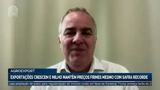 Exporta&ccedil;&otilde;es crescem e milho mant&eacute;m pre&ccedil;os firmes mesmo com safra recorde