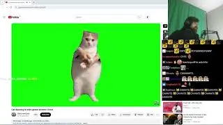 Forsen Reacts- Cat dancing to edm green screen 1 hour