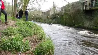 Llandysul div 1 Slalom