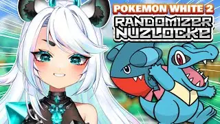 【 Pokémon White 2 Nuzlocke】 GO GO TEAM ANKLEBITERS!
