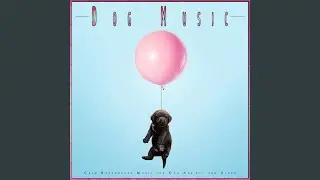 Background Nature Music for Dogs