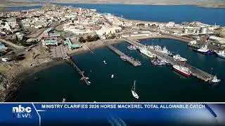 Ministry defends science-based 2026 horse mackerel quota - nbc