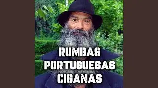 Músicas Ciganas (Baú Afonso) Turquia