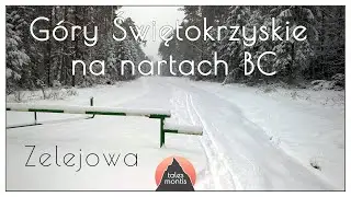 Biegówki - narty śladowe - BC w Górach Świętokrzyskich - Zelejowa - i leśne gęstwiny - na Piekło