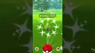 larvitar community day Pokemon go catch a Shiny Pokemon