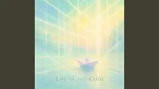 Life in the Code